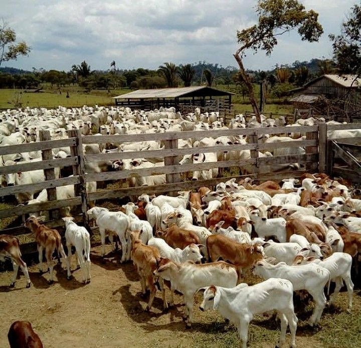 02883c3855968098a4ae454b4a1a4345